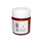 Fevicryl Indian Red Acrylic Colour 01 (15ml)